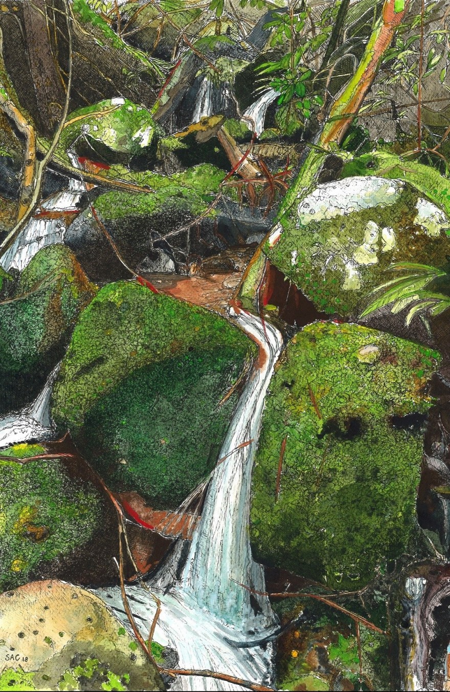 4-border track stream