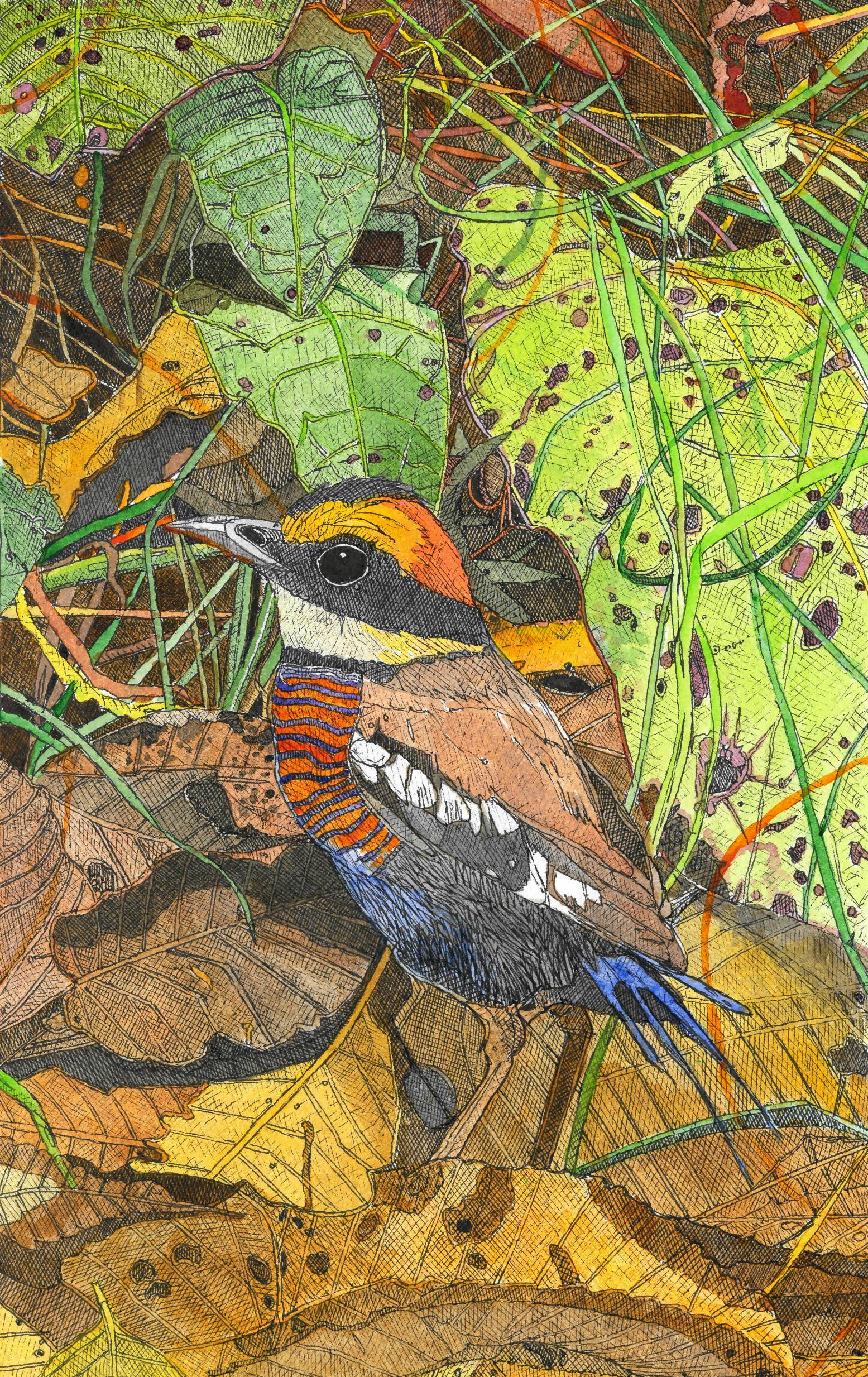 38636673_1300271250109727_8394973261791756288_n